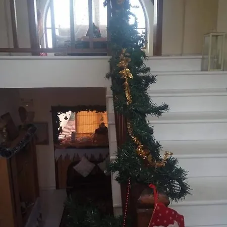 Papanikolaou 이에리소스