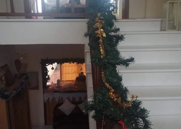 Papanikolaou Ierissós