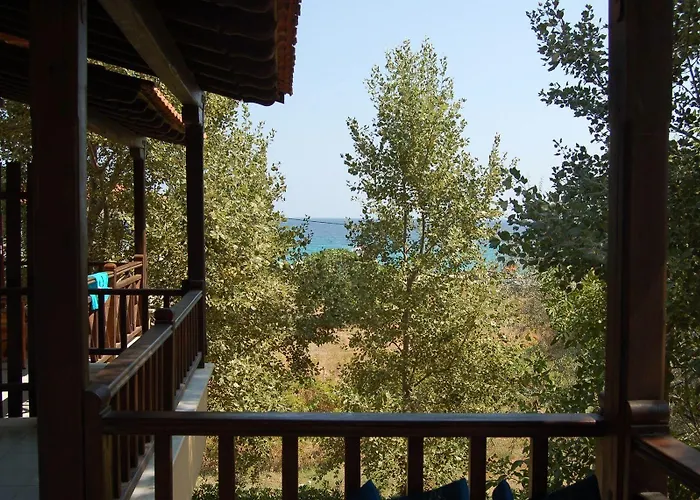 Papanikolaou 3*